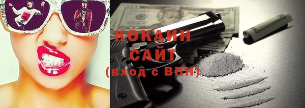 прущие крисы Бородино