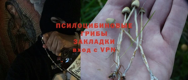 прущая мука Верея