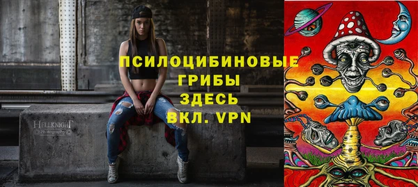 PSILOCYBIN Верхнеуральск