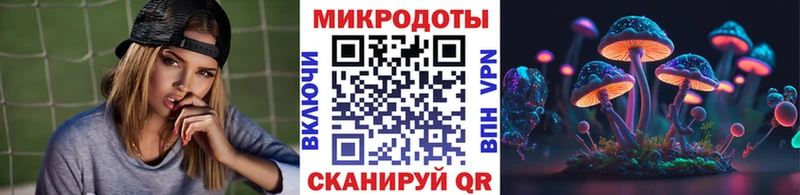 Галлюциногенные грибы мухоморы  хочу наркоту  Гагарин 